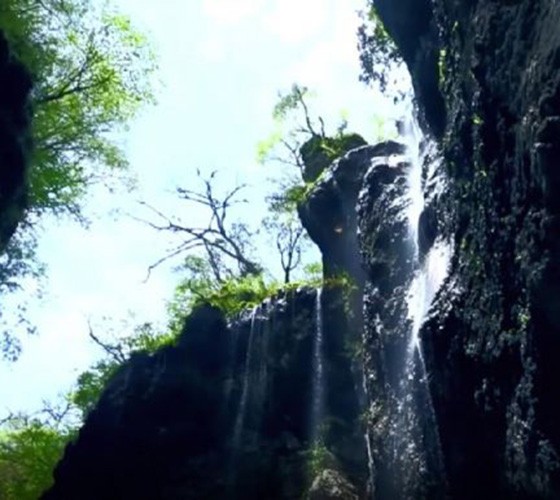 青山綠水，白龍江畔江畔息白鷺，兩岸綠橄欖入眼的都是純樸自然枝上花開(kāi)，春來(lái)水暖魚(yú)蝦戲水，鳥(niǎo)語(yǔ)花香心中充滿(mǎn)著舒暢之感祥宇生態(tài)產(chǎn)業(yè)園，位于隴南市武..